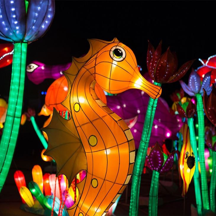 New Year Traditional Silk Lantern Exhibition Show